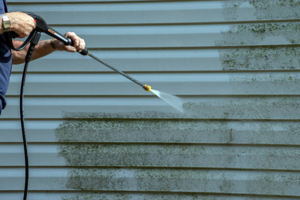 Best House Exterior Washing  in Camp Point, IL